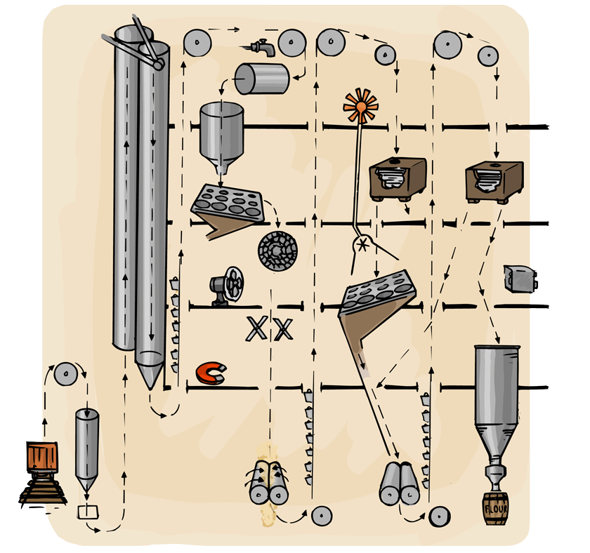 A cutaway section of a mill showing how the wheat goes up and down through the building as it is sorted, cleaned, and ground into flour.