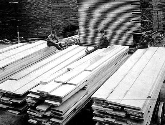 Photo of three boys sitting on lumber piles in a sawmill yard, ca. 1910.