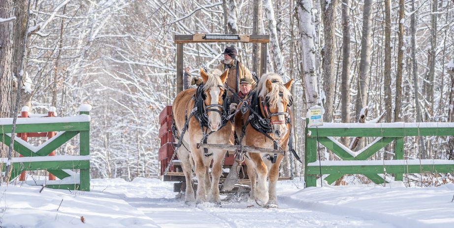 Winter Sleigh Rides Forest History Center